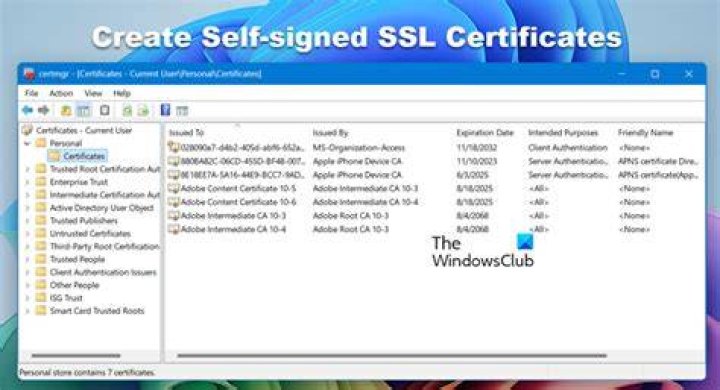 accept self-signed certificate