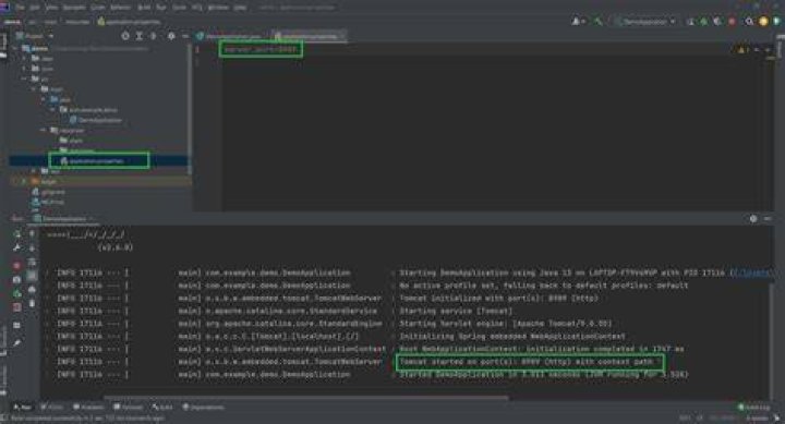 application properties