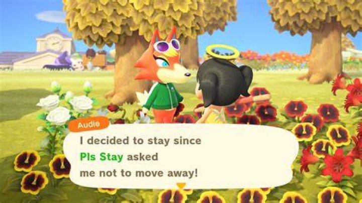 Audie telling the player "I decided to stay since Pls Stay asked me not to move away!"