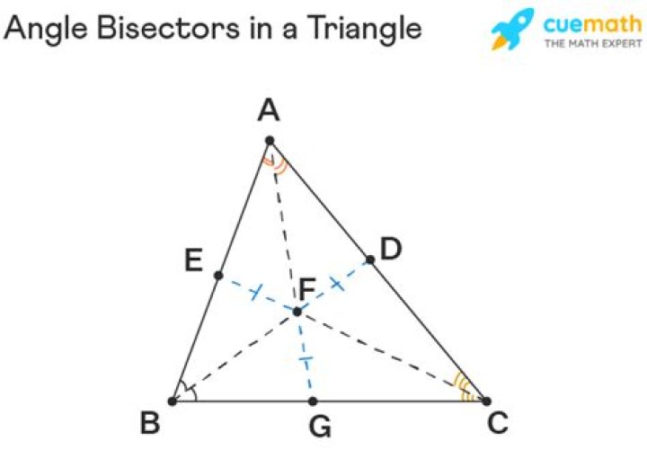 Bisector of triangle