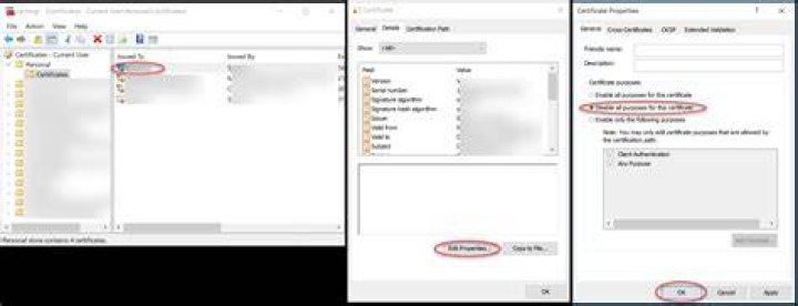 Certmgr Workflow to disable certificate