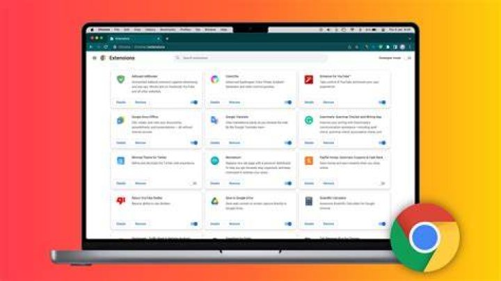 Chrome Plug-ins manager