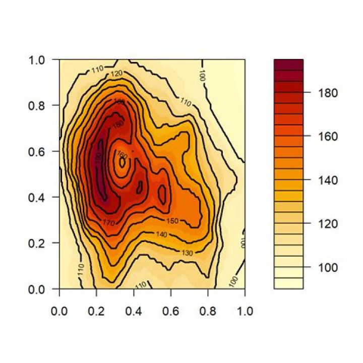 Contour Plot