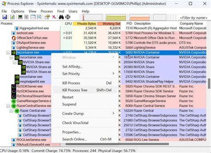 C:\Program in Process Explorer