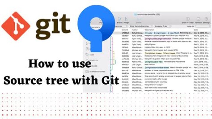 Example output in Sourcetree
