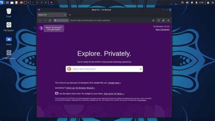 Firstly I started tor service