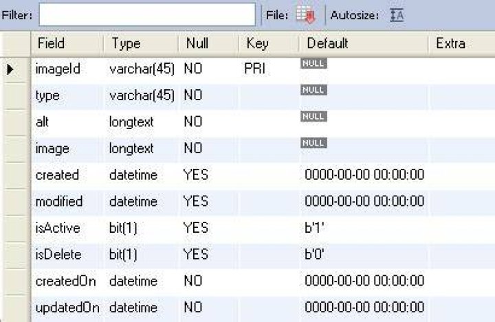 Get Table Columns with DataTypes