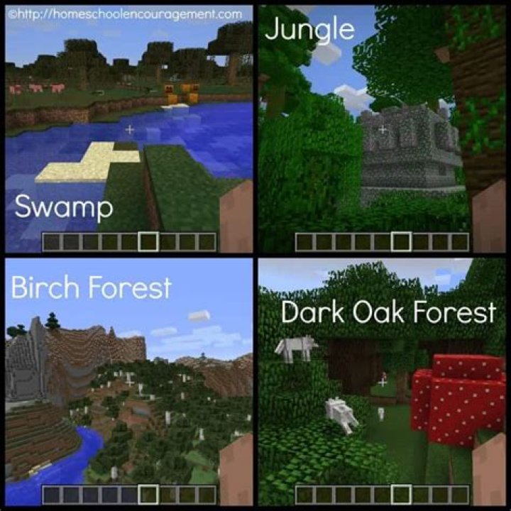How do Minecraft biomes work?