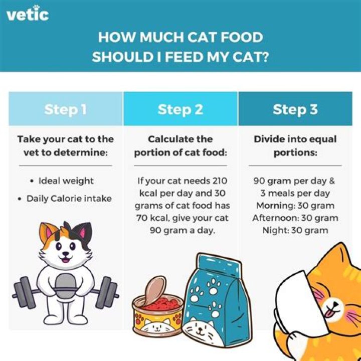 How do you feed your prisoners?