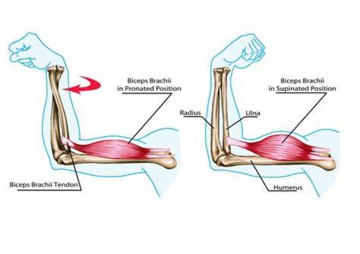 How does arm wrestling work?