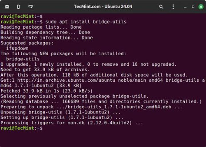 Install bridge-utils