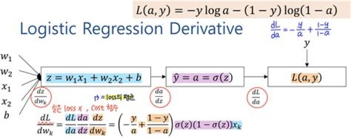 logistic regression derivatives