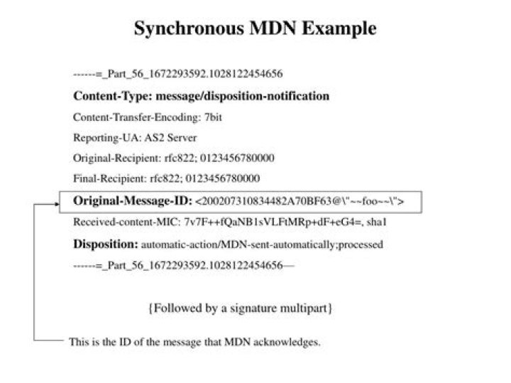 MDN Example