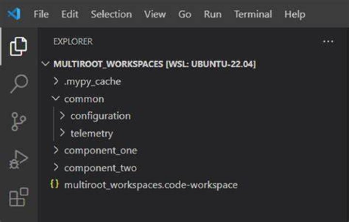 multi-root workspace folders