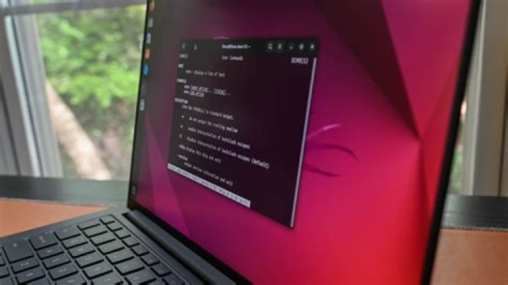 my terminal window
