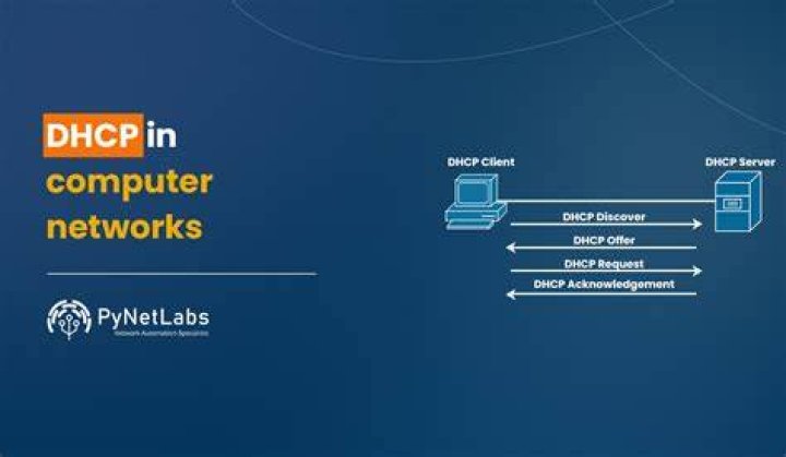 network interfaces on dhcp client