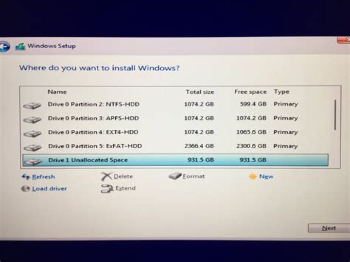 Partition Setup screen with RAID option