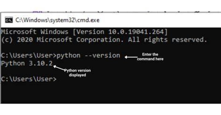 Python version