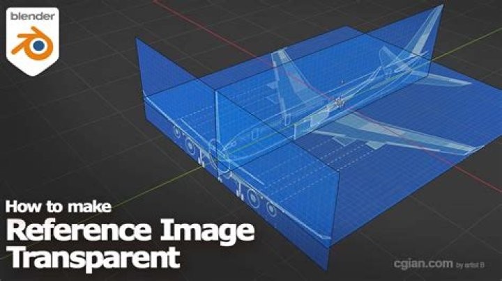 Reference Image