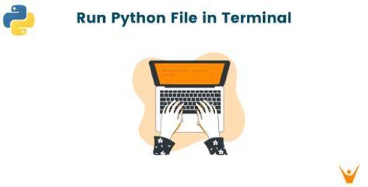 Run Python File in Terminal