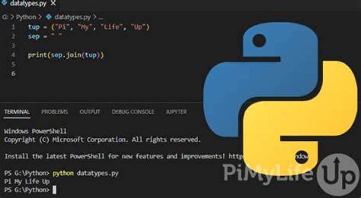 Run Python