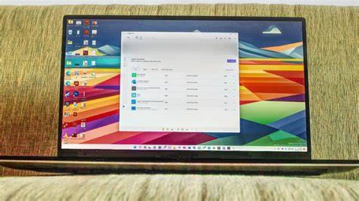 Screenshot of "Set Launch Option" window