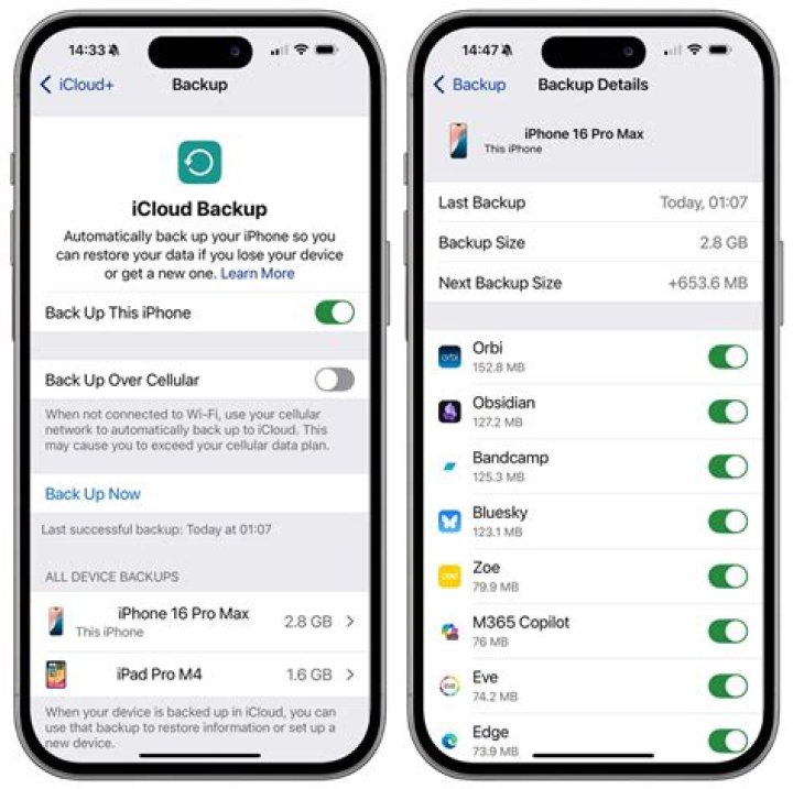 Screenshot showing backup app