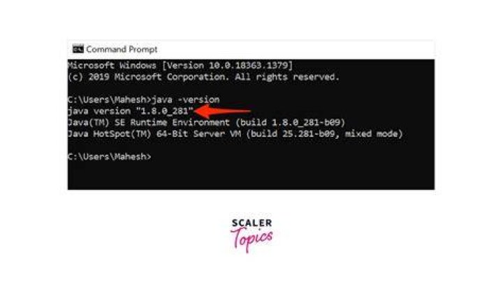 Select the Java Version that you want to install and set as the default