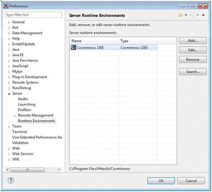 Server Runtime Environment