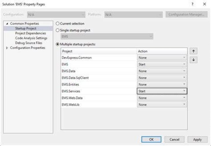 Set as StartUp Project