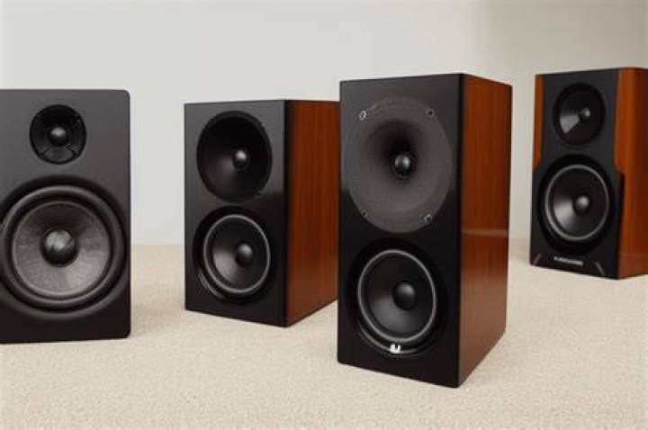 Speaker image