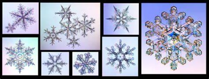 Special Snowflakes
