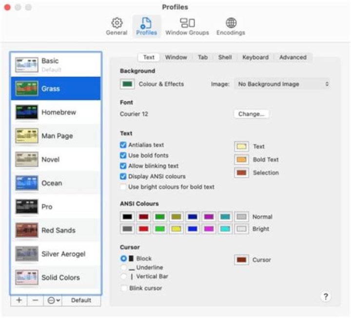 Terminal Preferences / Profile