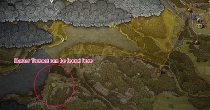 tomcat location