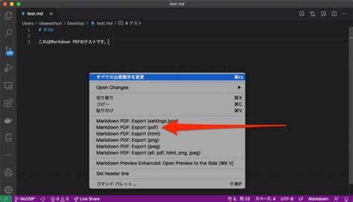 Visual Studio Code Markdown PDF