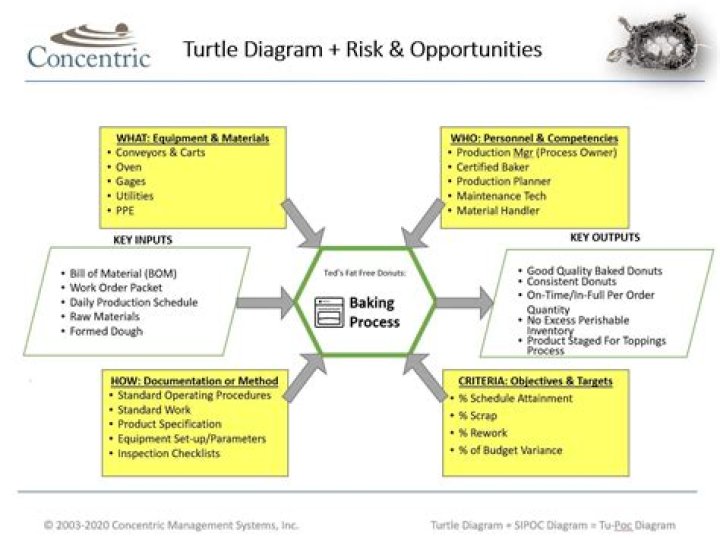 What is a Turtle Goal?