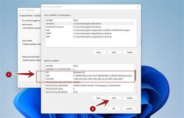 Windows Path variable