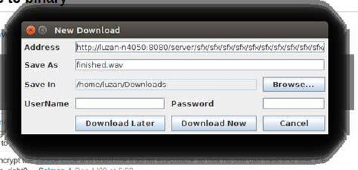 XDM Started multiple downloads at once
